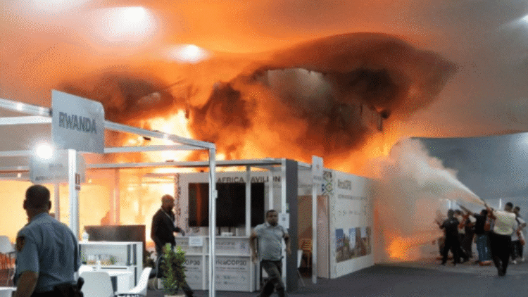 Untitled design (23)