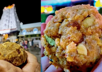 Untitled design (29)