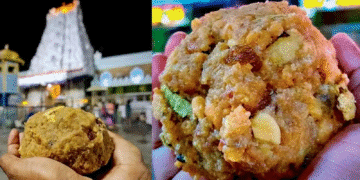 Untitled design (29)