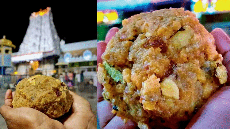 Untitled design (29)