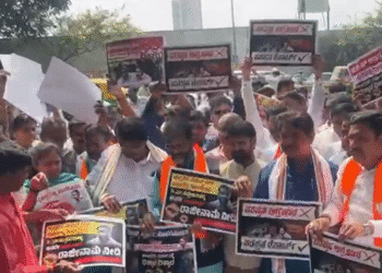 Untitled design (31)