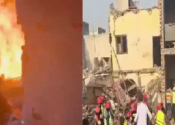 Untitled design (34)