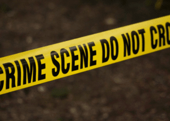 Untitled design (36)