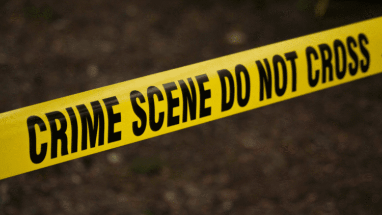 Untitled design (36)