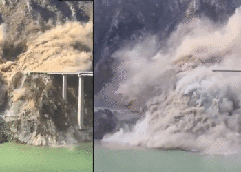 Untitled design (39)