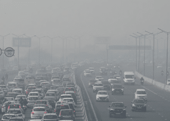 Untitled design (41)