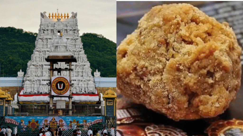 Untitled design (47)