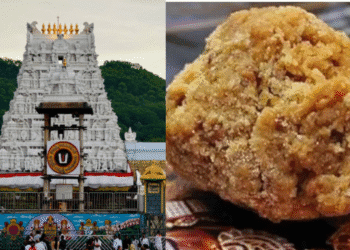 Untitled design (47)