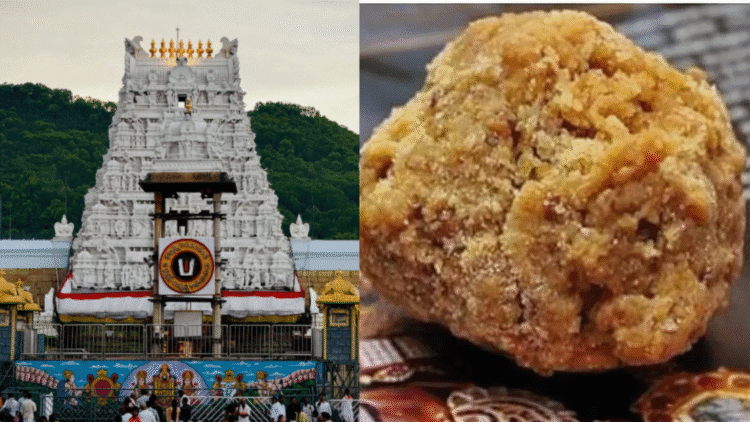 Untitled design (47)