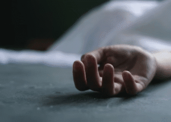 Untitled design (50)