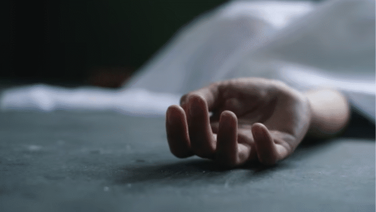 Untitled design (50)