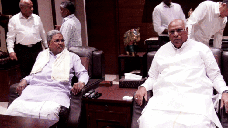 Untitled design (51)