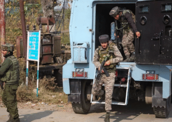 Untitled design (52)