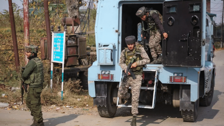 Untitled design (52)