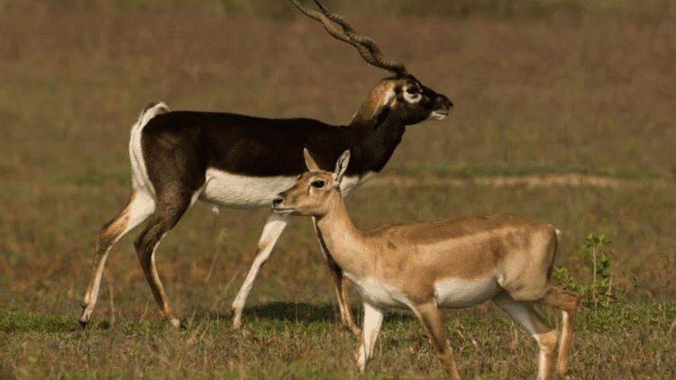 Untitled design (59)