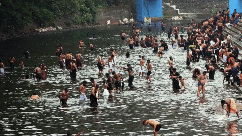 Untitled design (66)