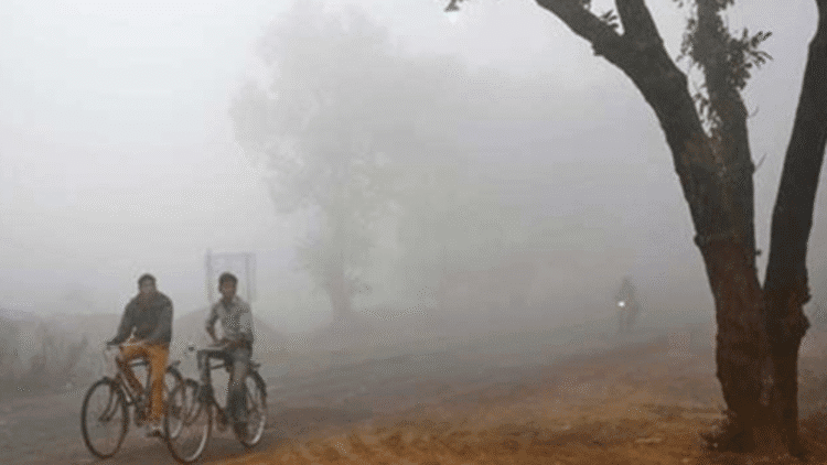 Untitled design (77)