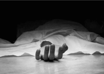 Untitled design (78)