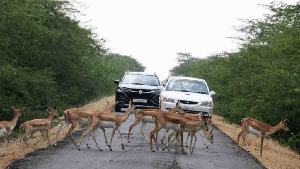 Untitled design (92)