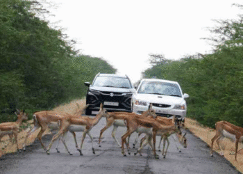 Untitled design (92)