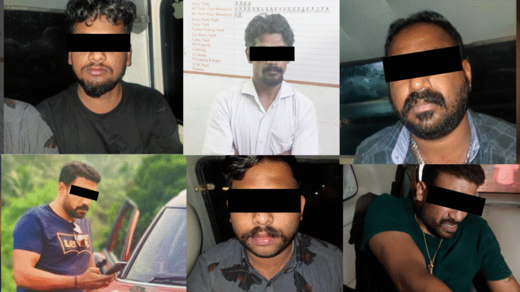 Untitled design (95)