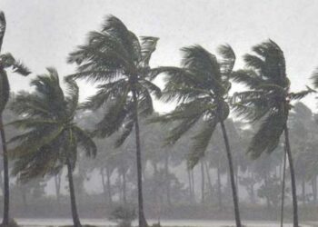 Web 2025 11 29T074739.026