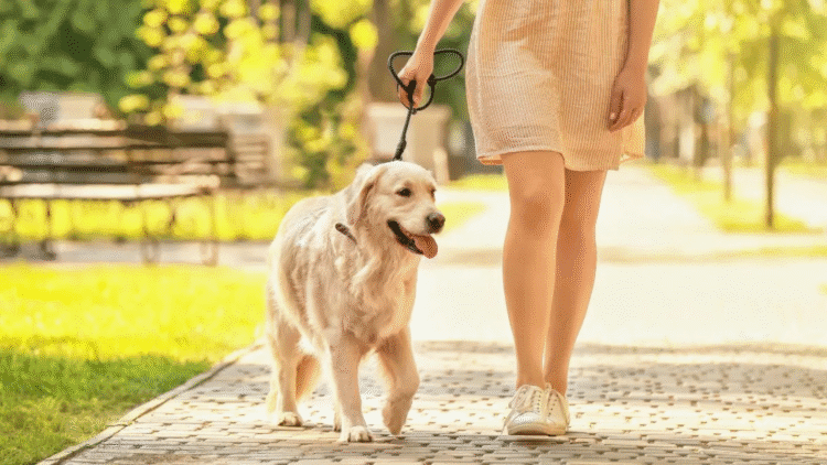 ರೋಹಿಣಿ ಆಚಾರ್ಯ (8)