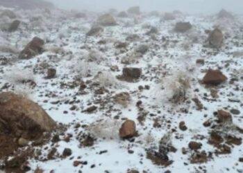 BeFunky collage (13)