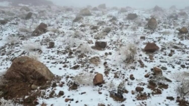 BeFunky collage (13)