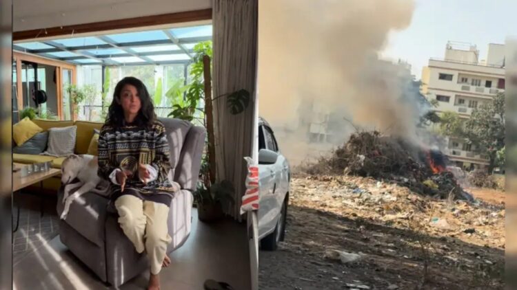 BeFunky collage (20)