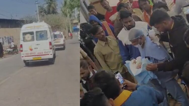 BeFunky collage (38)