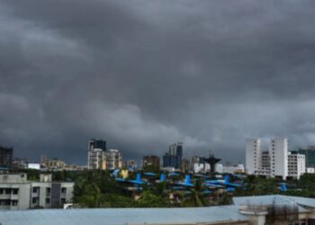 BeFunky collage (56)