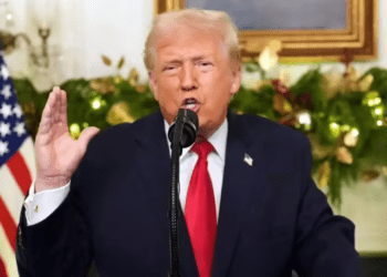 Untitled design (12)