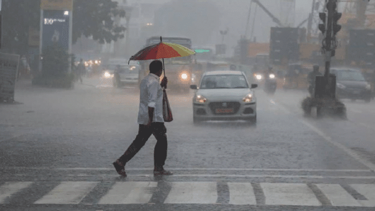 Untitled design 2025 12 01T084341.345