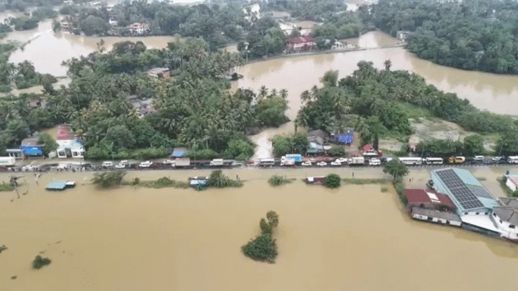 Untitled design 2025 12 01T104740.974