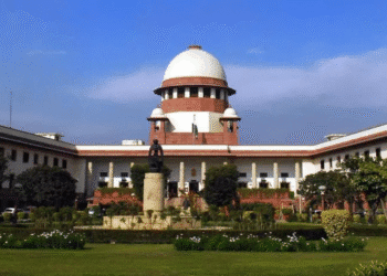 Untitled design 2025 12 01T174455.225