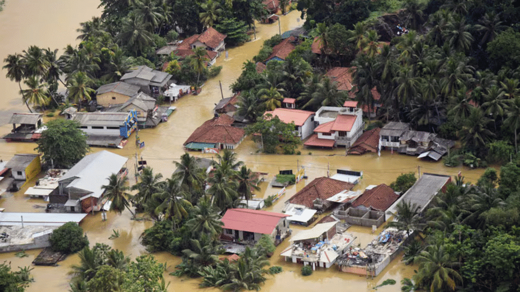 Untitled design 2025 12 02T094217.010