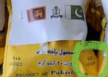 Untitled design 2025 12 02T171519.967