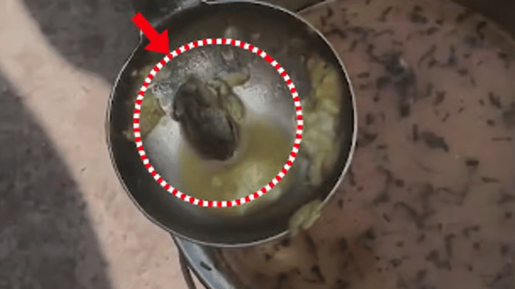 Untitled design 2025 12 02T181028.862