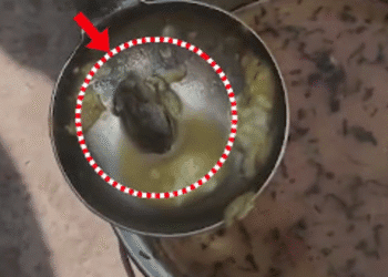 Untitled design 2025 12 02T181028.862