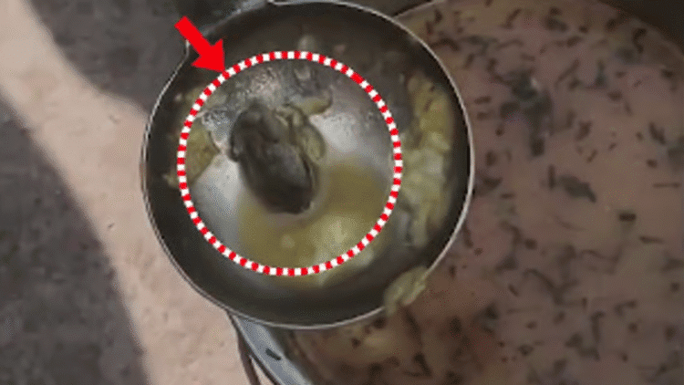 Untitled design 2025 12 02T181028.862