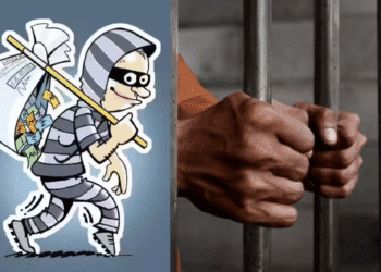 Untitled design 2025 12 04T104547.598