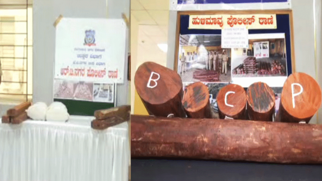 Untitled design 2025 12 04T124340.372