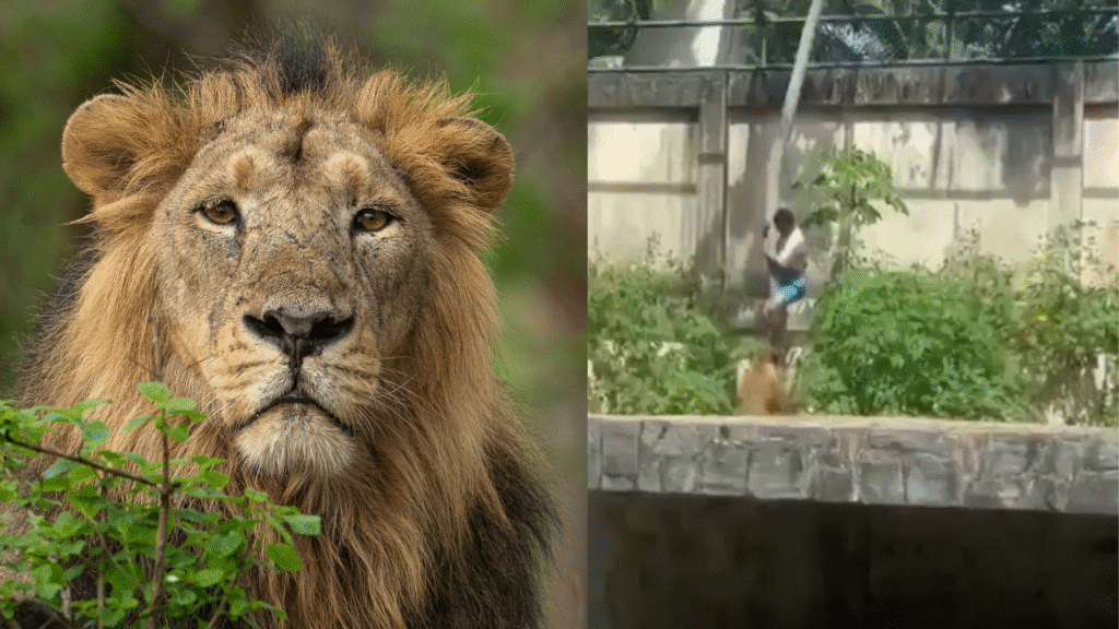 Untitled design 2025 12 04T132026.492