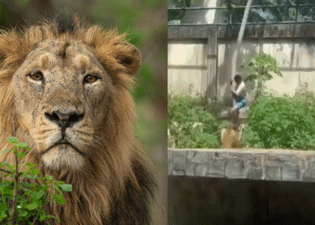 Untitled design 2025 12 04T132026.492