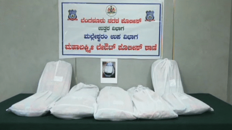 Untitled design 2025 12 04T144107.743