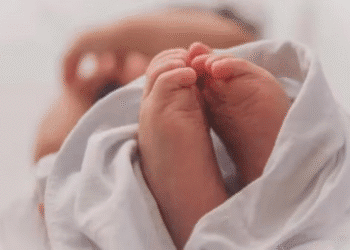 Untitled design 2025 12 12T140710.351