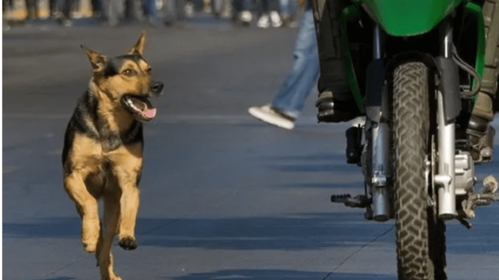 Untitled design 2025 12 14T234947.244