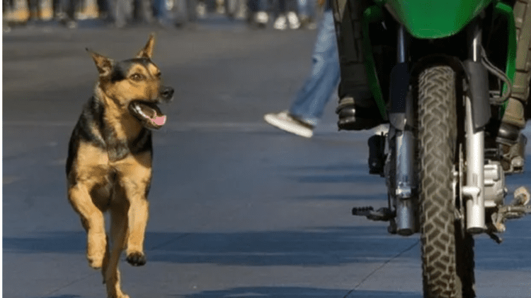 Untitled design 2025 12 14T234947.244