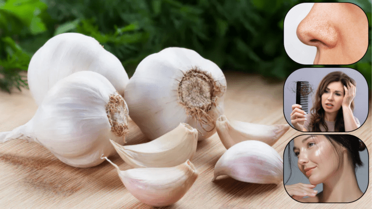 Untitled design 2025 12 16T072612.137